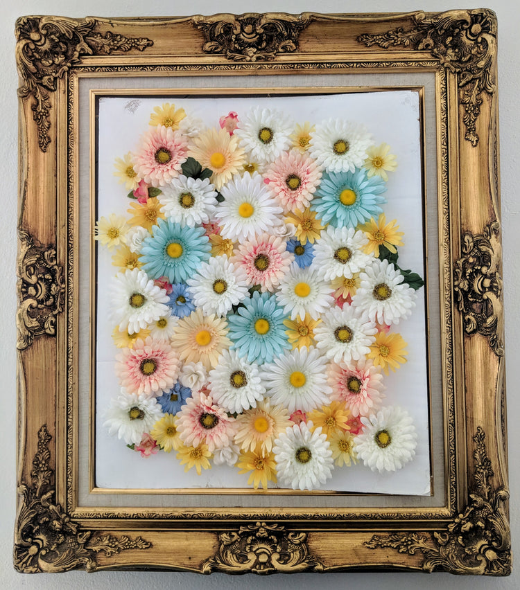 Framed Gardens