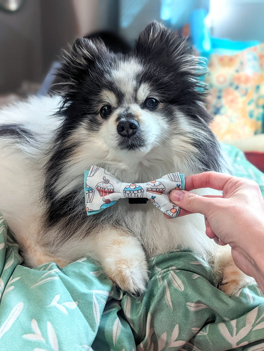 Discover handsewn dog bowties made in Annapolis, Maryland by Pickledillie Designs. Elevate your pet's style with unique cloth pet fashion accessories. Shop small and support local artisans.