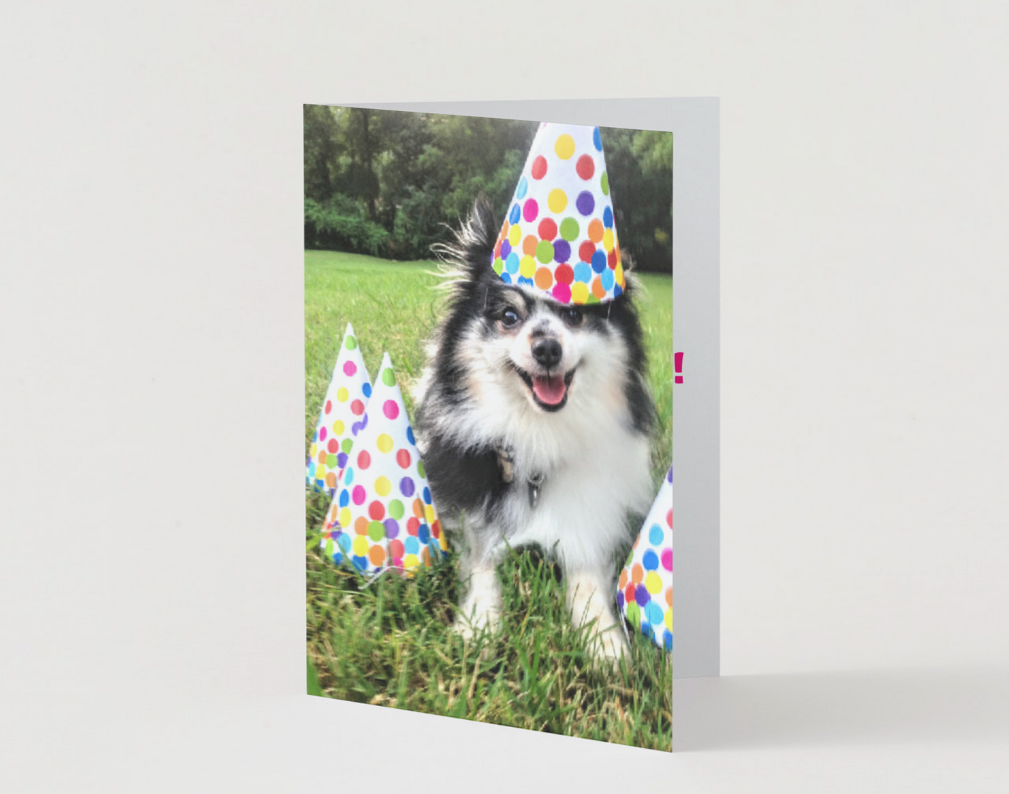 Pickle Party Animal Birthday Card