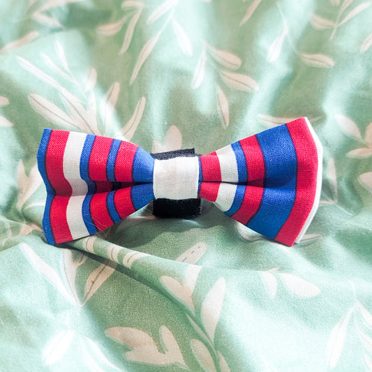 RWB Stripe Dog Bowtie 2