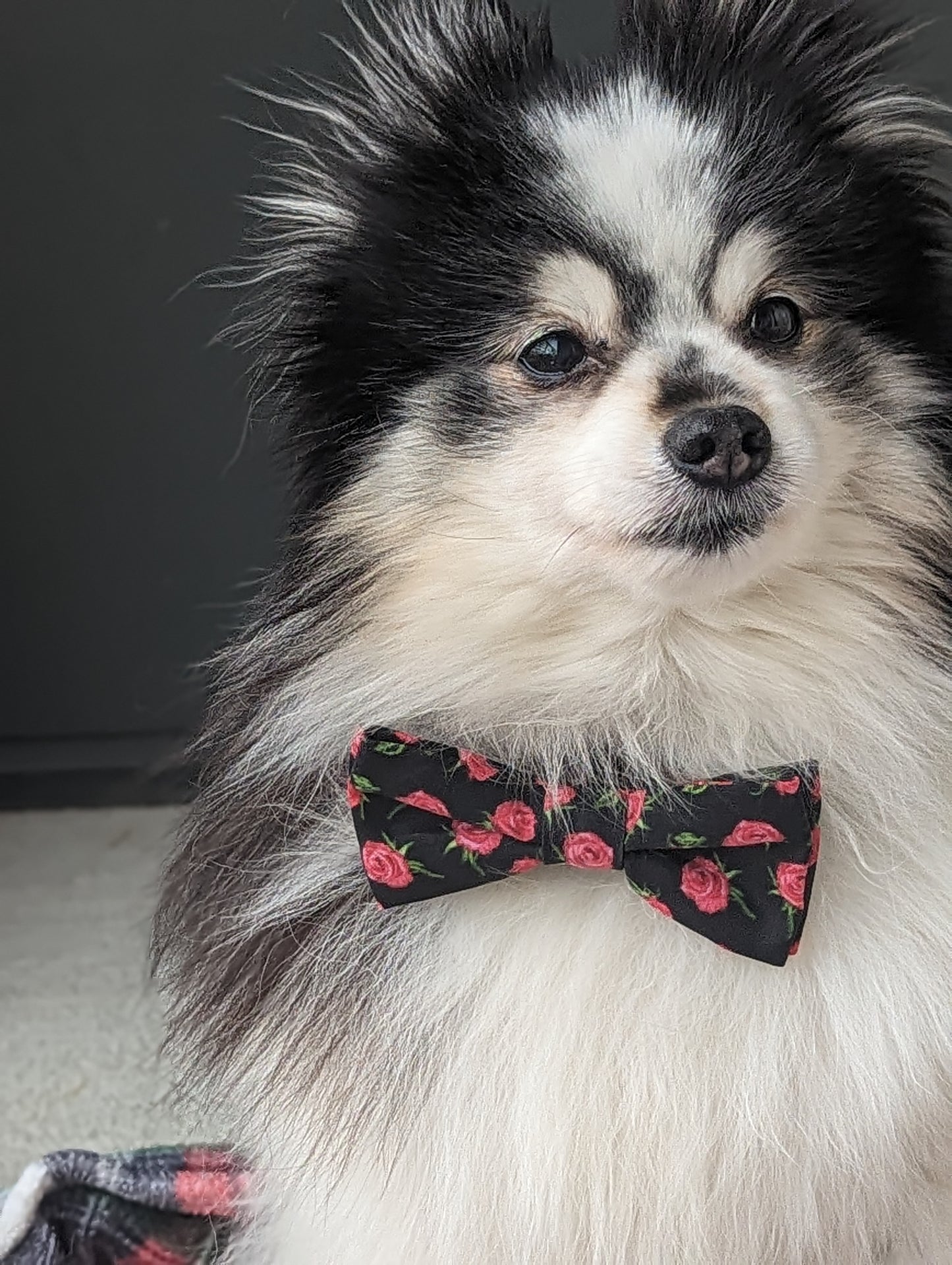 Rosebud Dog Bowtie