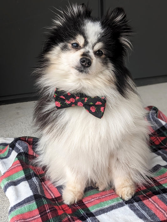 Rosebud Dog Bowtie