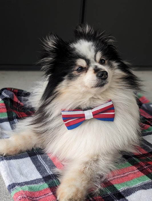 Pickledillie Designs offers handsewn, handmade unique cloth dog bowties for collars. Add a touch of style to your pet's wardrobe with these one-of-a-kind accessories made in Annapolis, Maryland. Explore our collection of pet fashion and accessories to elevate your furry friend's look.