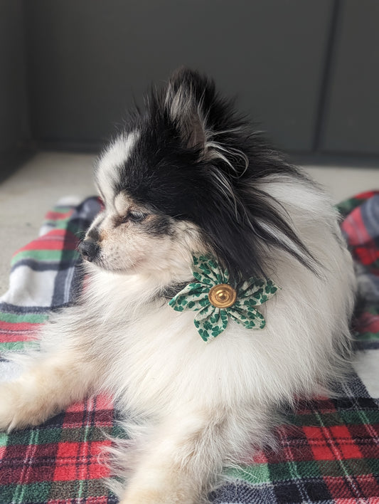 Discover exquisite handsewn dog bowties made in Annapolis, Maryland by Pickledillie Designs. Elevate your pet's style with these unique cloth fashion accessories, crafted with love and attention to detail. Support local businesses and shop small for the perfect addition to your furry friend's wardrobe.