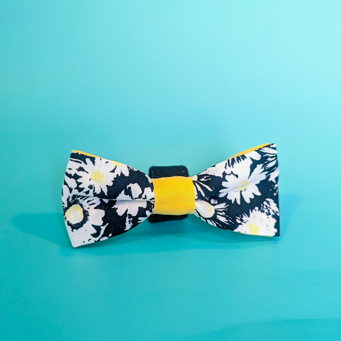 Discover exquisite handsewn dog bowties made in Annapolis, Maryland by Pickledillie Designs. Elevate your pet's style with these unique cloth fashion accessories, crafted with love and attention to detail. Support local businesses and shop small for the perfect addition to your furry friend's wardrobe.