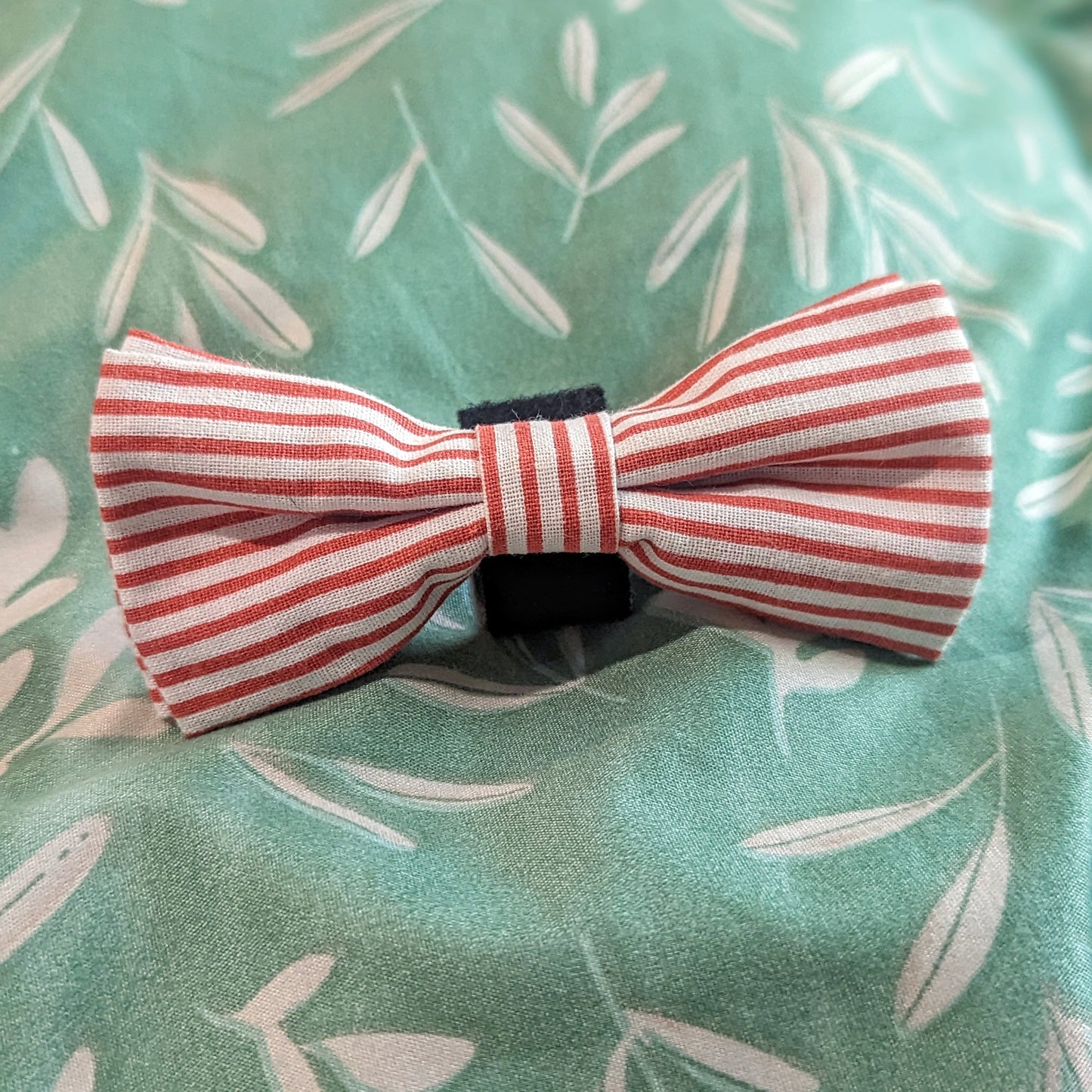 Candy Striper Dog Bowtie