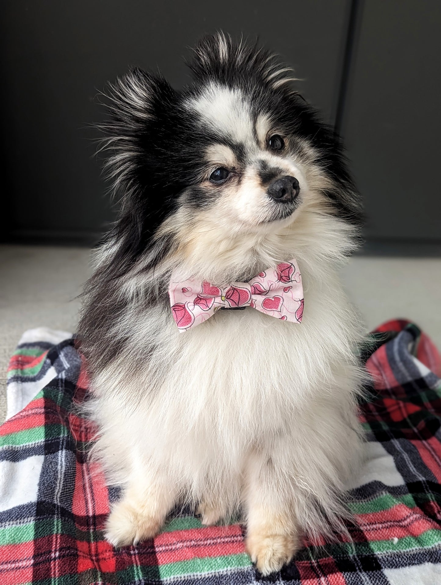 Pink Cartoon Roses Dog Bowtie