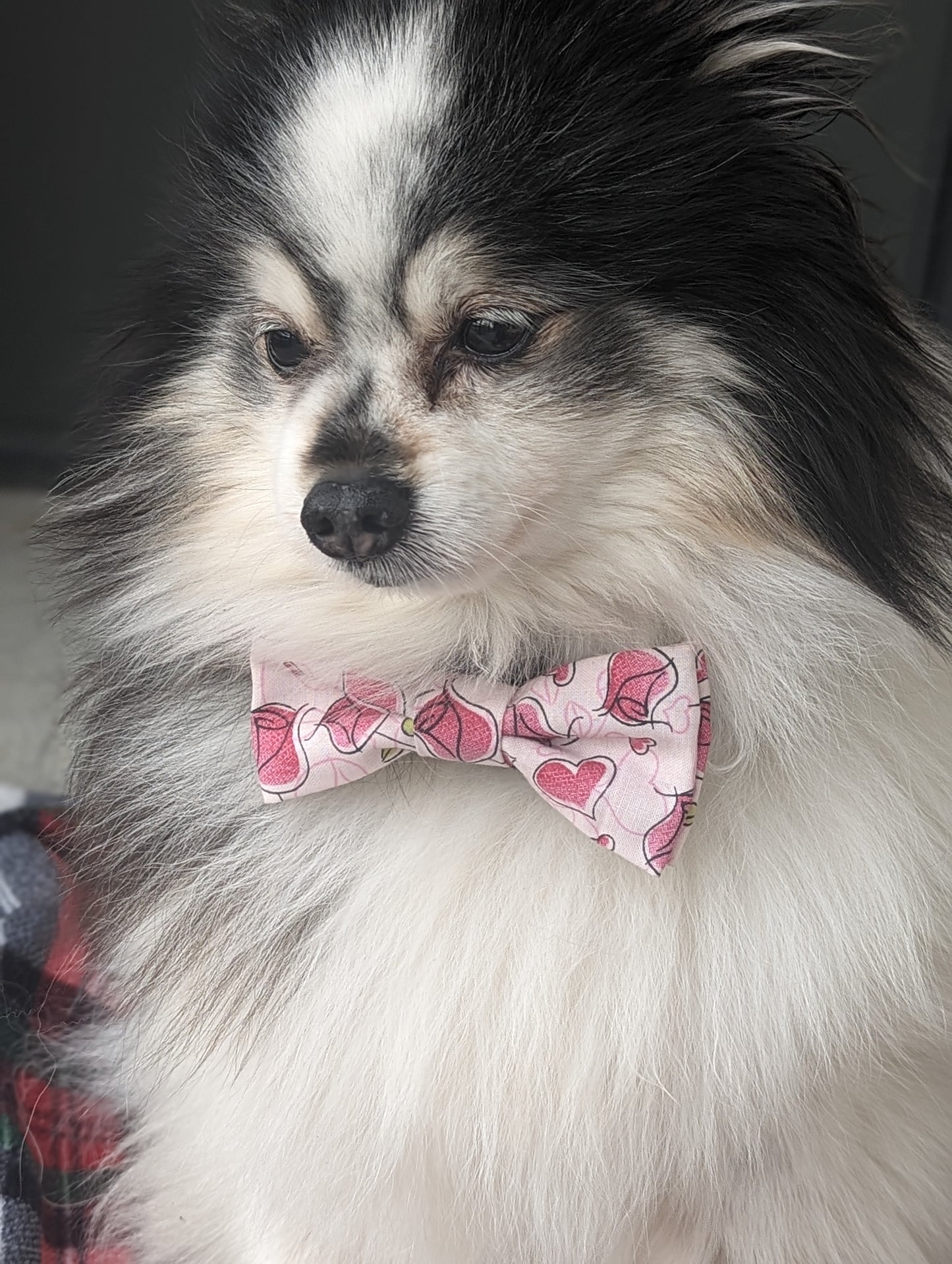 Pink Cartoon Roses Dog Bowtie