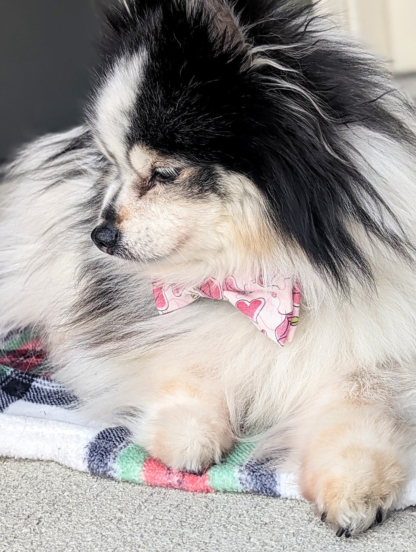 Pink Cartoon Roses Dog Bowtie