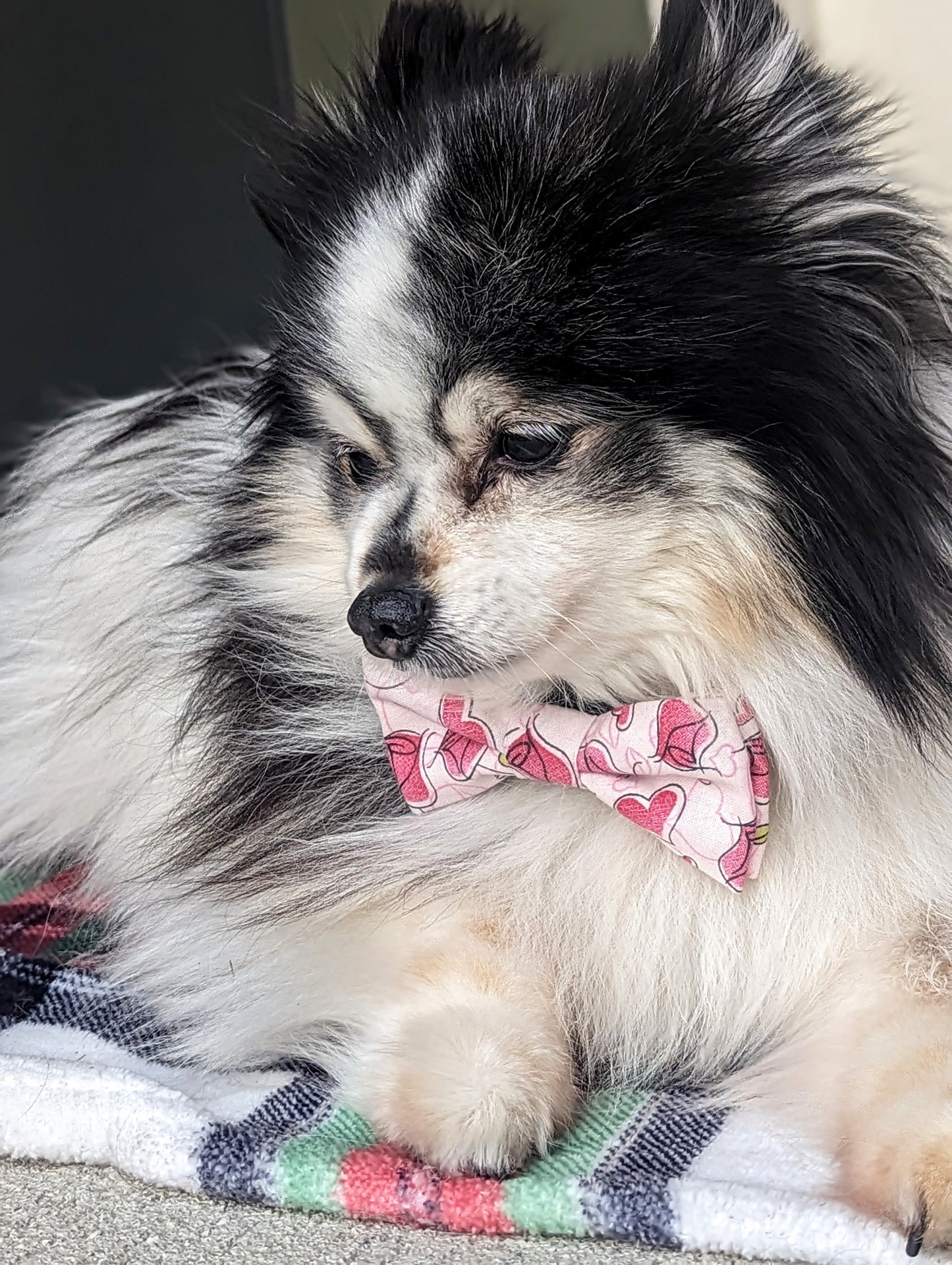 Pink Cartoon Roses Dog Bowtie