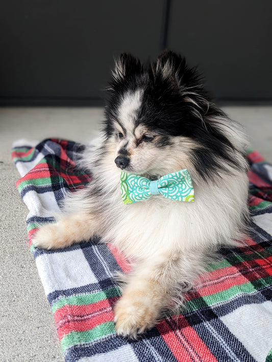 Pickledillie Designs offers handsewn, handmade unique cloth dog bowties for collars. Add a touch of style to your pet's wardrobe with these one-of-a-kind accessories made in Annapolis, Maryland. Explore our collection of pet fashion and accessories to elevate your furry friend's look.