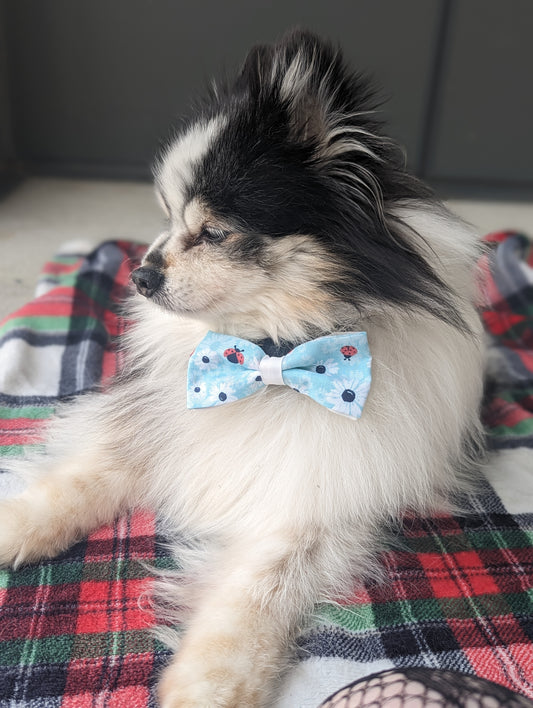 Discover exquisite handsewn dog bowties made in Annapolis, Maryland by Pickledillie Designs. Elevate your pet's style with these unique cloth fashion accessories, crafted with love and attention to detail. Support local businesses and shop small for the perfect addition to your furry friend's wardrobe.