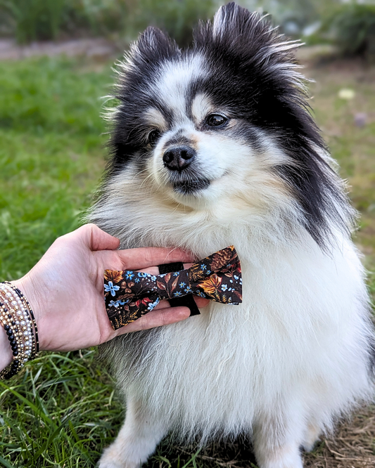 Fall Leaves Dog Bow