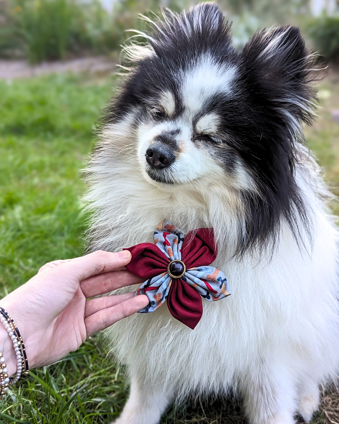 Multi Bones Dog Flower Bow