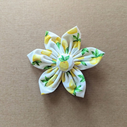 Lemon Drop Flower Bow 1